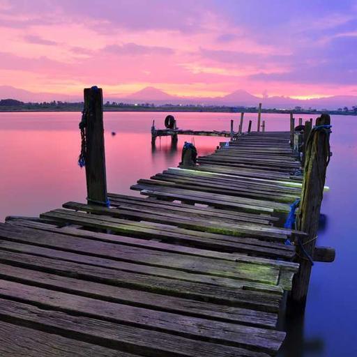 Electronic Frozen Pizza