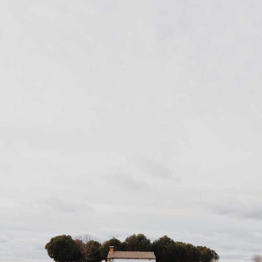 Luxurious Steel Salad